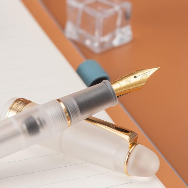 Vacuum Filling Fountain Pen Medium Nib, Frosted Transparent Clear Acrylic, Large-Capacity with Gift Case - 图片 4