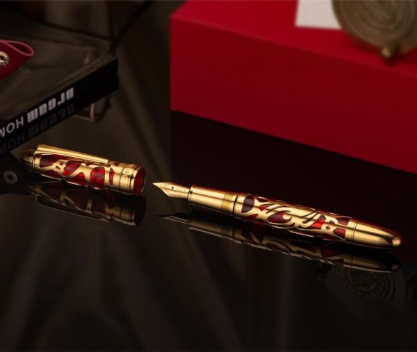 Piston Filling Fountain Pen Medium Nib, Spider Skeleton Transparent Red Acrylic Pen Case and Wrench Set - 图片 4