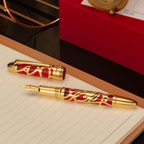 Piston Filling Fountain Pen Medium Nib, Spider Skeleton Transparent Red Acrylic Pen Case and Wrench Set - 图片 5