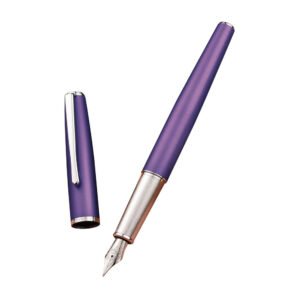 Purple Metal Fountain Pen, Steel Fine Point Classic Pen, Includes Refillable Converter and Pen Pouch