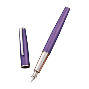 Purple Metal Fountain Pen, Steel Fine Point Classic Pen, Includes Refillable Converter and Pen Pouch